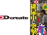 排尿中に突撃！狭～い個室でみっちゃく声ガマン SOD女子社員 ハダカになるより恥ずかしい脱ぎキャンBOX野球拳 亀山寧音