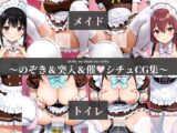 aki●a no maid no toilet〜のぞき&突入&催●シチュCG集〜